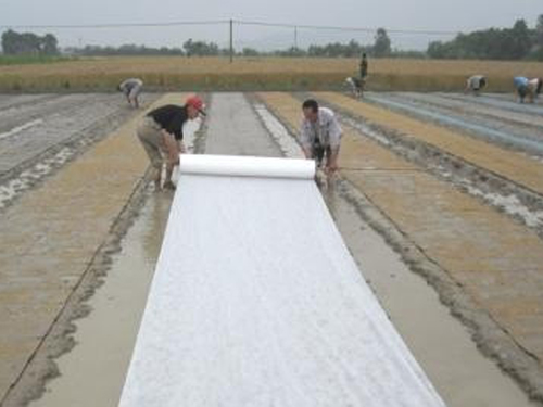 农业农用无纺布在蔬菜生产中的应用
